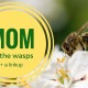 Mom vs the Wasps